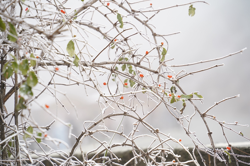 墨石公园，在异星地表，我找到了地球更沉默的告白-第1张图片-甘孜旅游